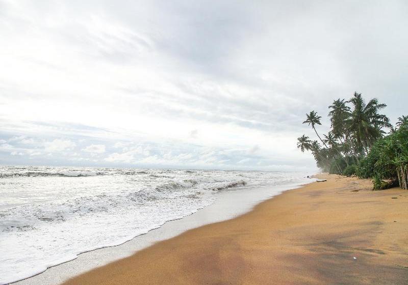 فندق Lavila Beach Resort