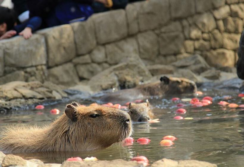 Bed and Breakfast Rinkangekijo