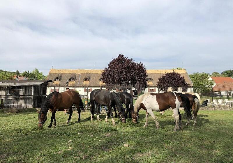 צימר The Houses Of History Anno 1830