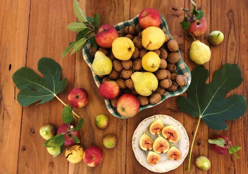 צימר The Houses Of History Anno 1830