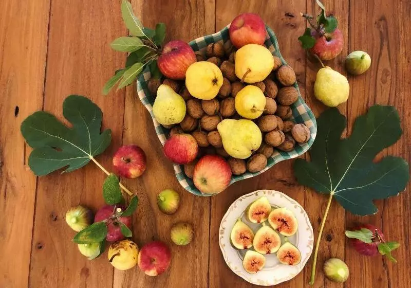 Aamiaismajoitus (B&B) The Houses Of History  Anno 1830