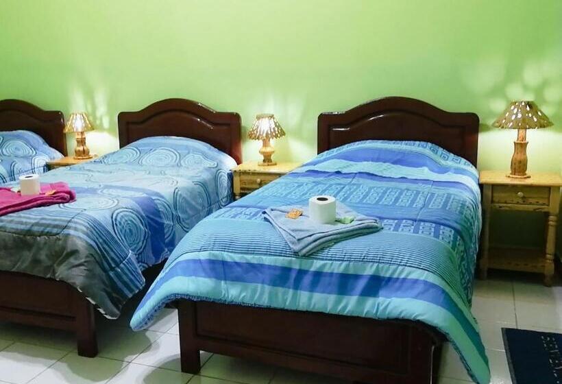 Bed and Breakfast Tierra Nuestra