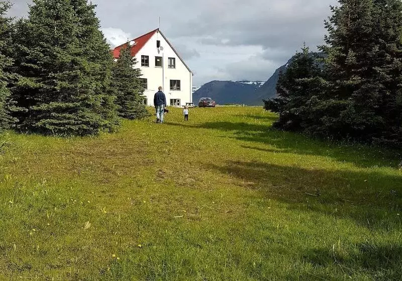 هتل Holt Inn
