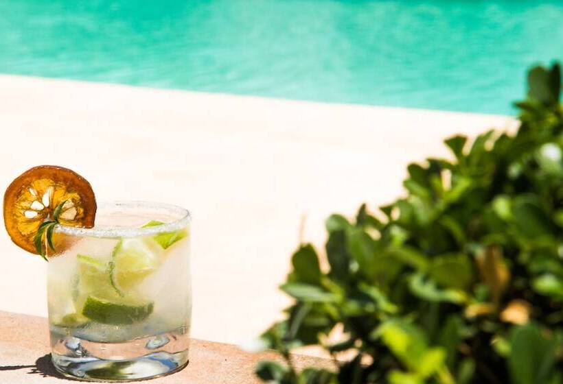 ホテル Tupa Lodge