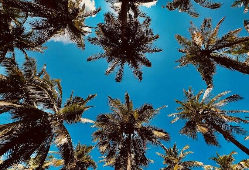 Wind Blend Kite Resort