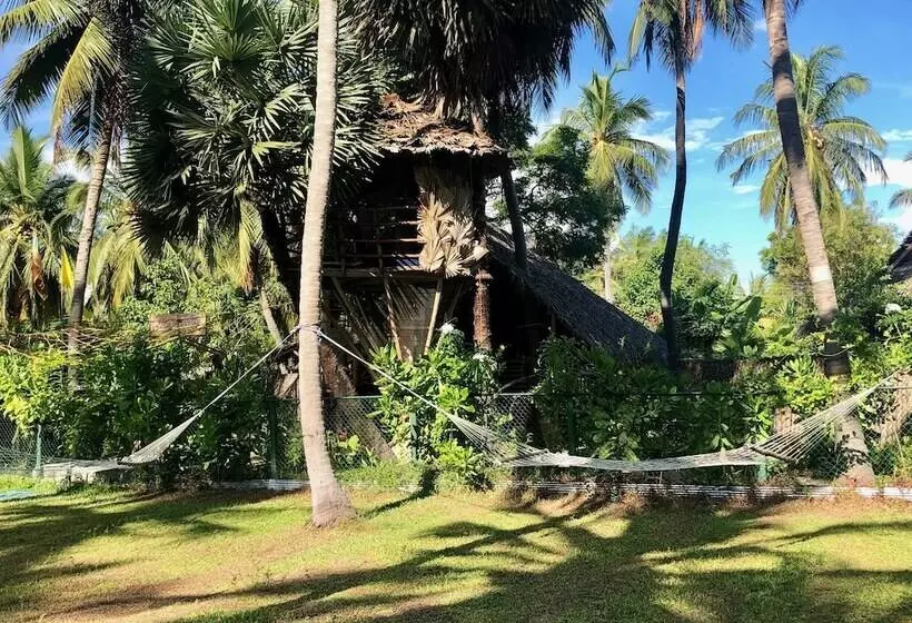 Wind Blend Kite Resort