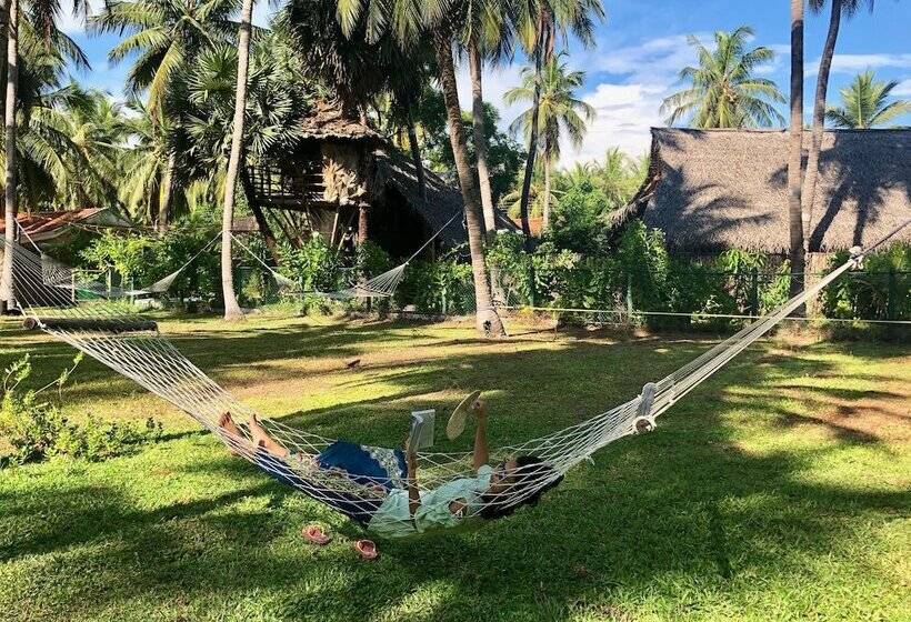 Wind Blend Kite Resort