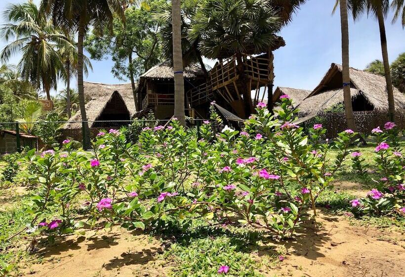 Wind Blend Kite Resort