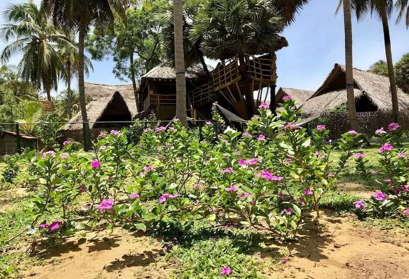 Wind Blend Kite Resort