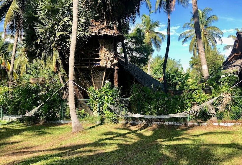 Wind Blend Kite Resort