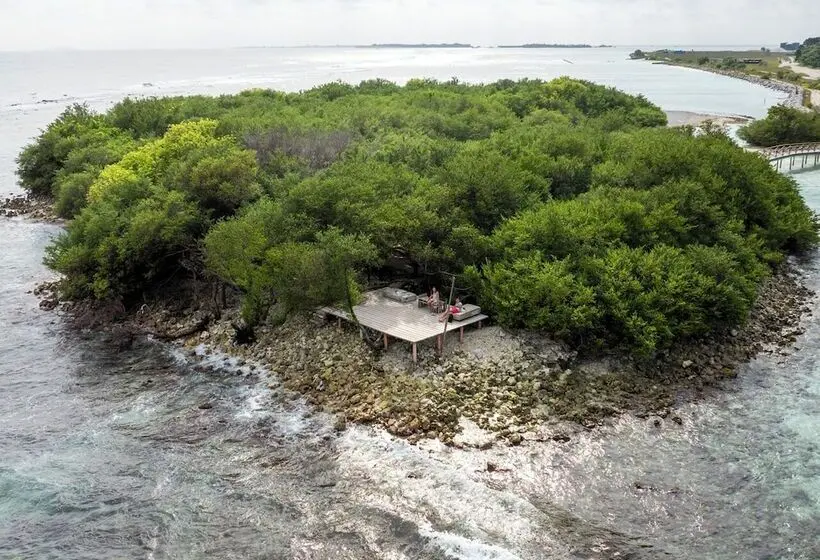 پانسیون Blissview Maldives Thulusdhoo