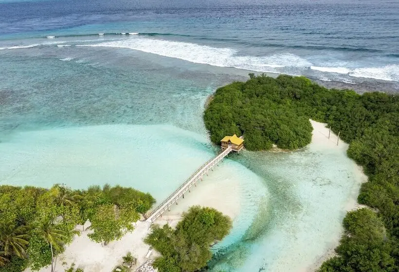 پانسیون Blissview Maldives Thulusdhoo