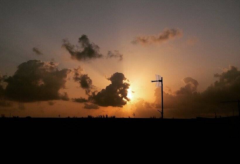 تختخواب و صبحانه Amber Terrace Lot.11125 R 1509