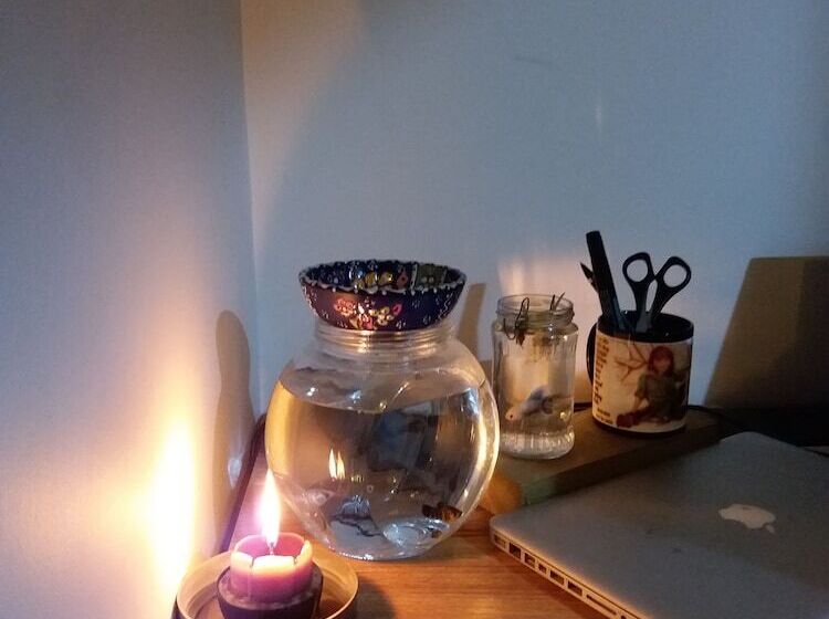 تختخواب و صبحانه Amber Terrace Lot.11125 R 1509