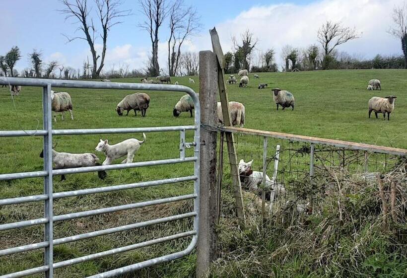 ベッドアンドブレックファースト Hawthorn Lodge