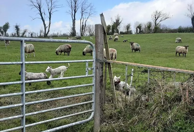 ベッドアンドブレックファースト Hawthorn Lodge