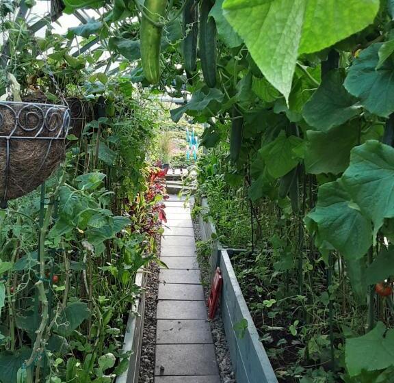 ベッドアンドブレックファースト Hawthorn Lodge