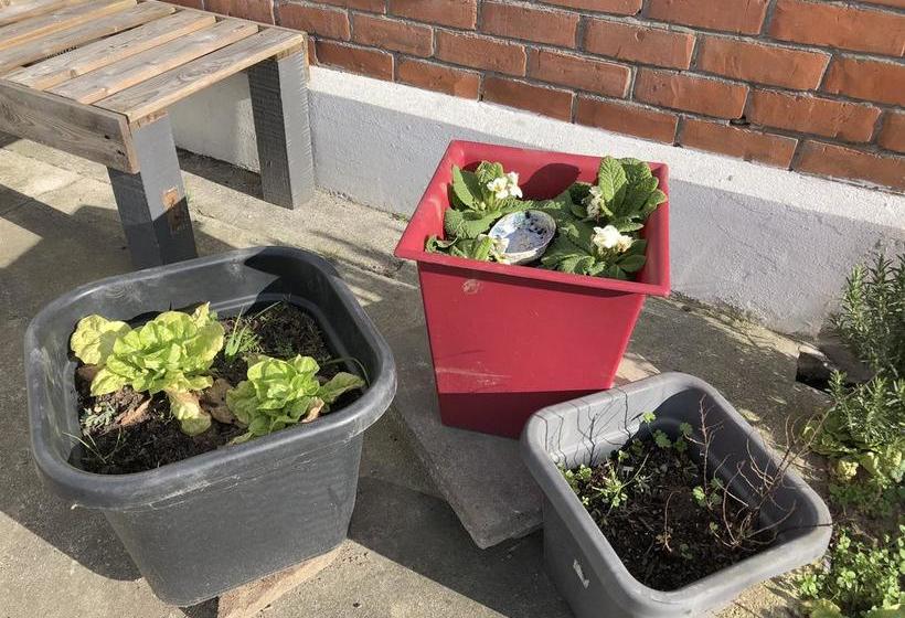 Bed and Breakfast Living On Dee