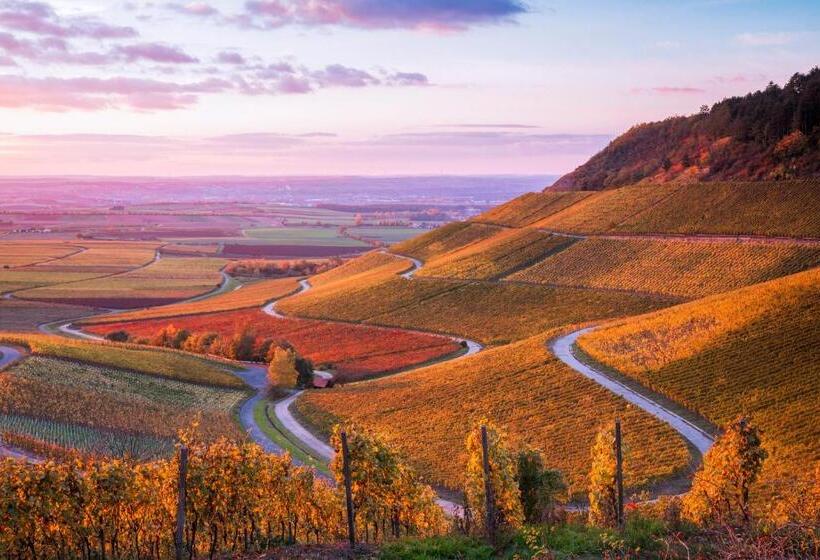 酒店 Am Schwanberg