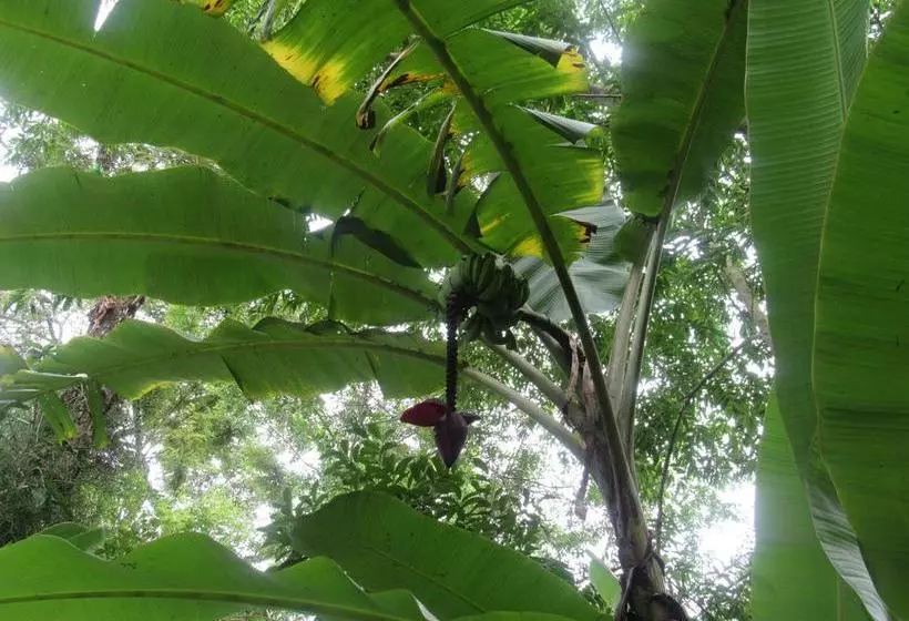 ユースホステル Camping Trópico De Capricórnio   Ilhabela