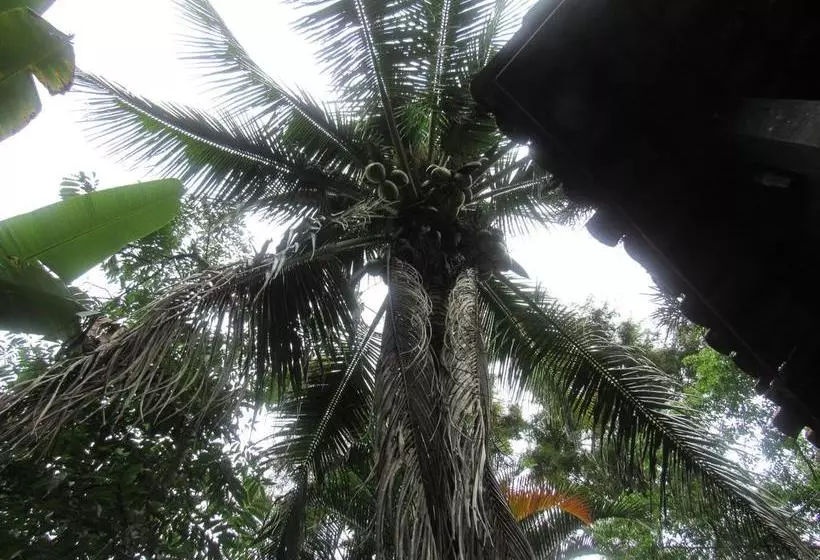 ユースホステル Camping Trópico De Capricórnio   Ilhabela