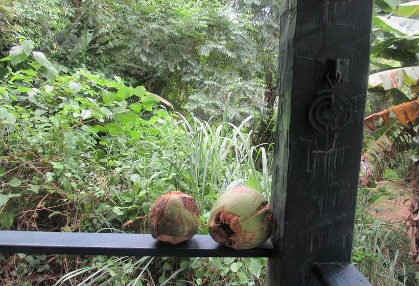 هاستل Camping Trópico De Capricórnio Ilhabela