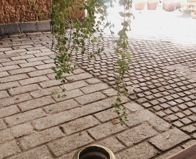 Отель Artisan Villa Colombo