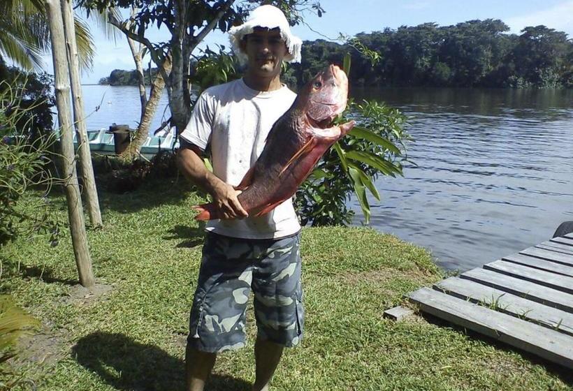 هاستل Chinitas Eco Lodge