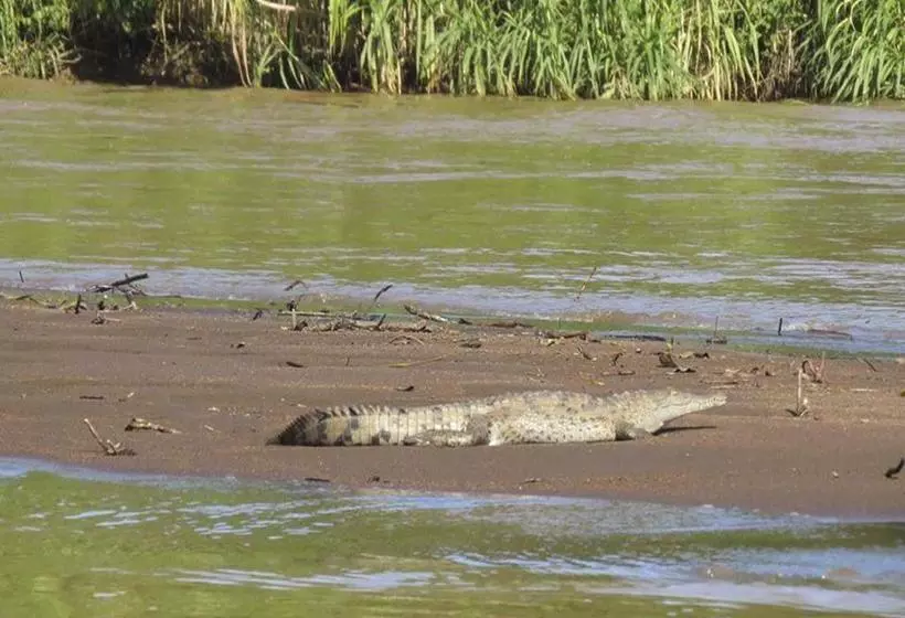 هاستل Chinitas Eco Lodge