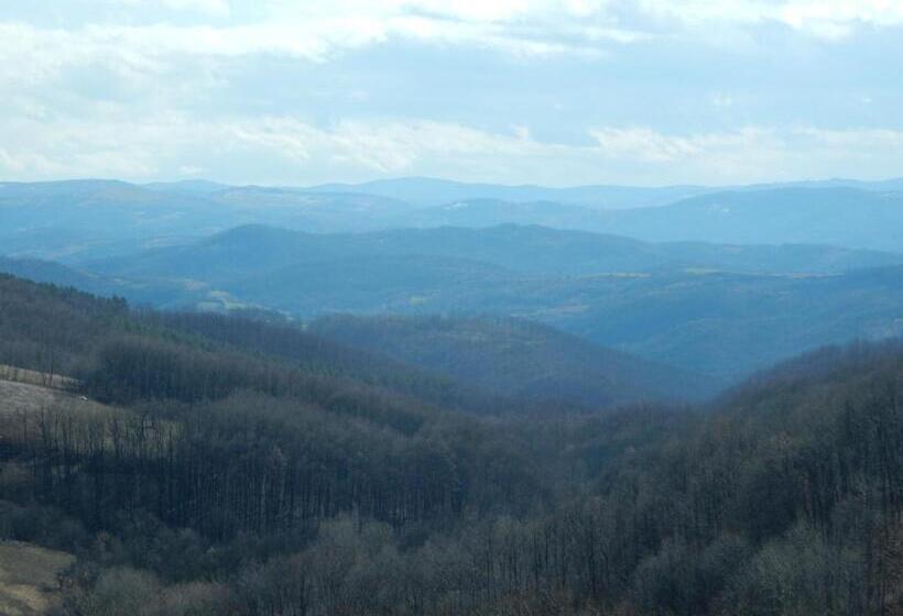 تختخواب و صبحانه Panorama Lomnica