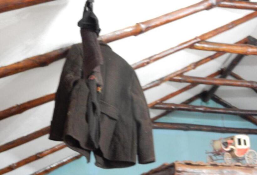 تختخواب و صبحانه Panorama Lomnica