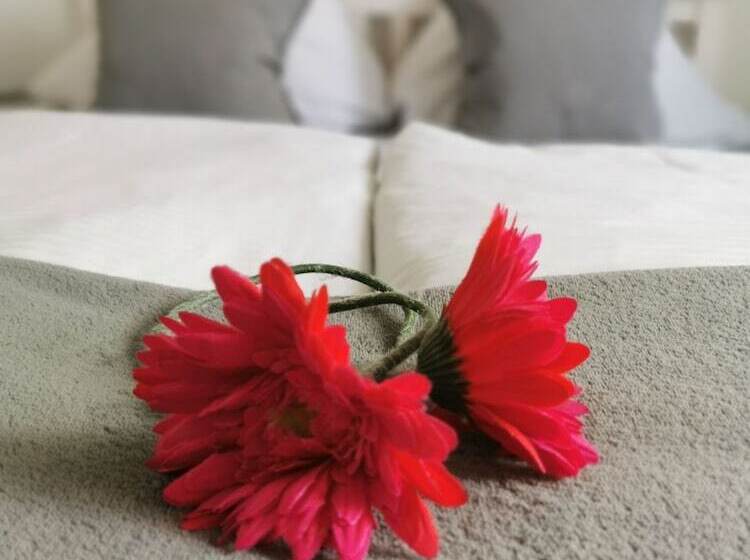 Bed and Breakfast Schenk