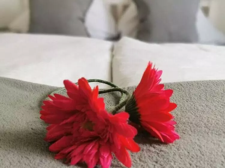 Aamiaismajoitus (B&B) Schenk