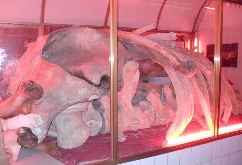 هتل Lighthouse Homestay Vũng Tàu