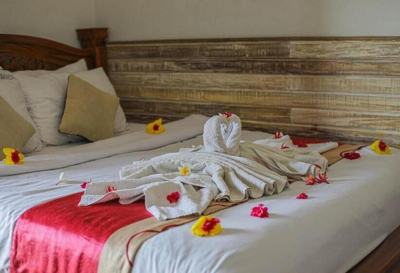 酒店 Manta Cottages With Sea View