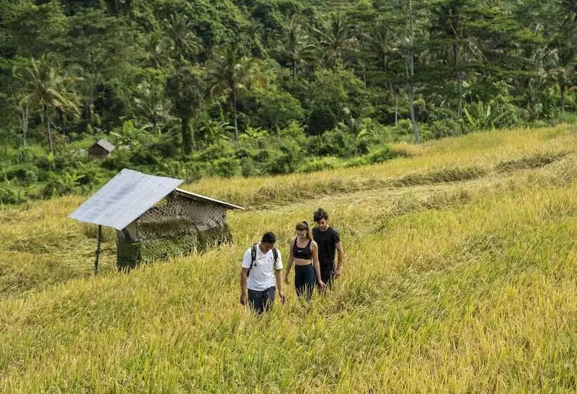 リゾートホテル Wapa Di Ume Sidemen