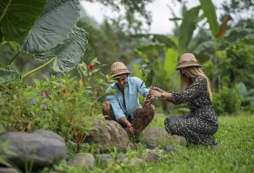 リゾートホテル Wapa Di Ume Sidemen