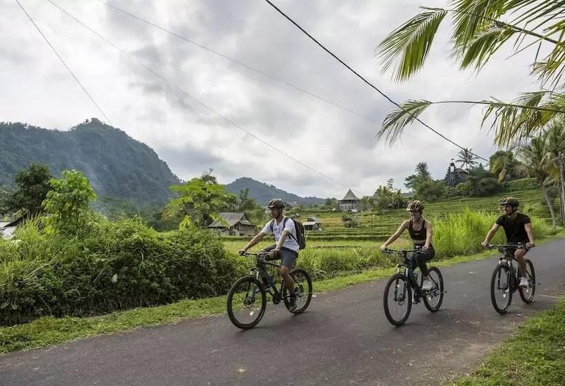 リゾートホテル Wapa Di Ume Sidemen