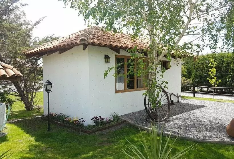 تختخواب و صبحانه Cabañas Tierra Y Vino Colchagua