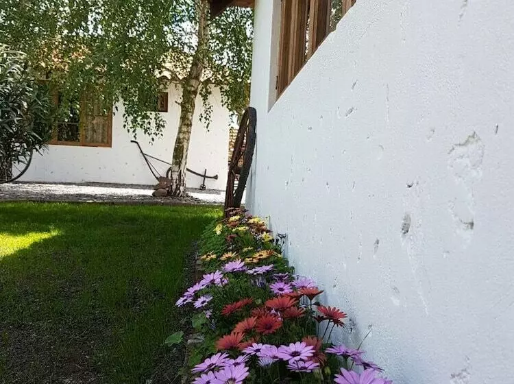 تختخواب و صبحانه Cabañas Tierra Y Vino Colchagua
