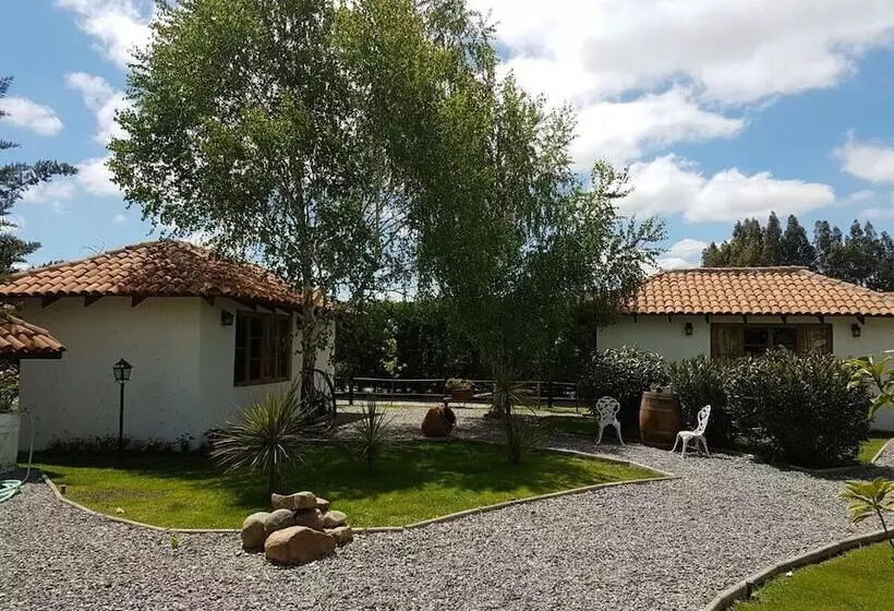 تختخواب و صبحانه Cabañas Tierra Y Vino Colchagua