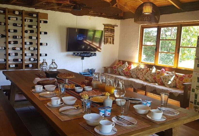 تختخواب و صبحانه Cabañas Tierra Y Vino Colchagua