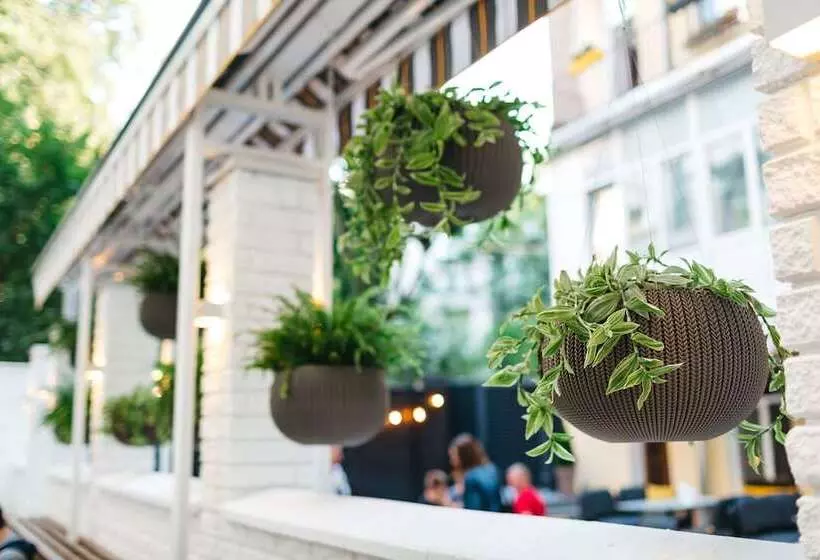 تختخواب و صبحانه Discovery