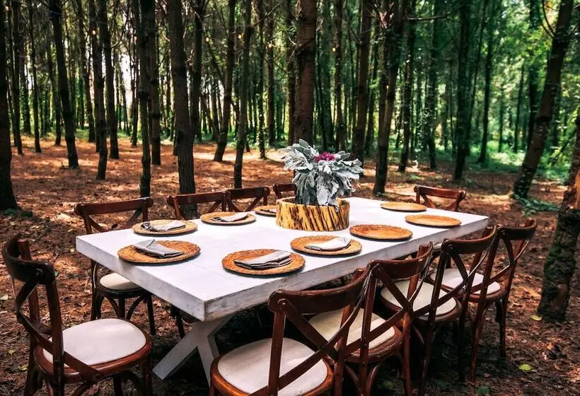Boscoso Hotel Boutique