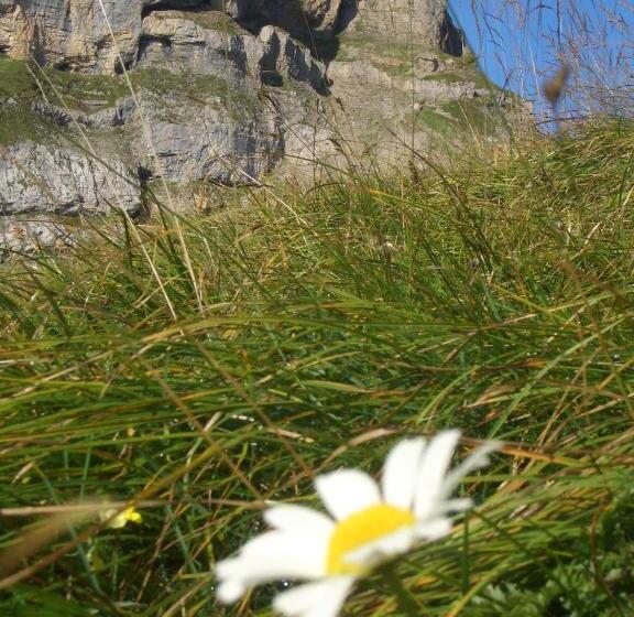 בית מלון כפרי Herzen´s Landhaus