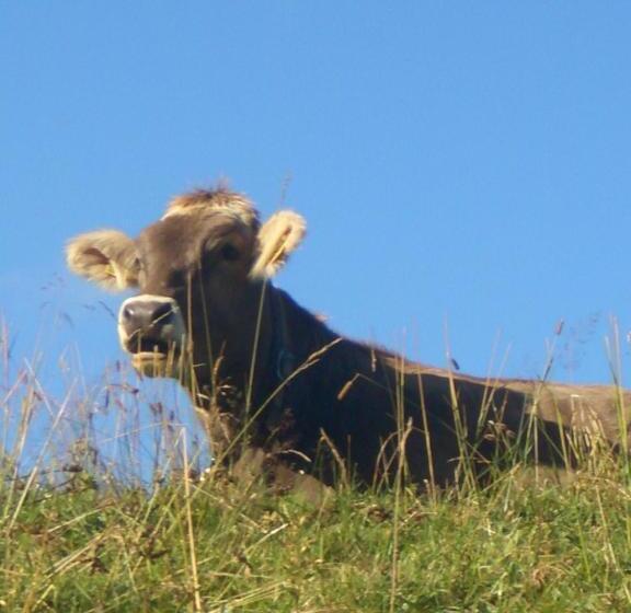 בית מלון כפרי Herzen´s Landhaus