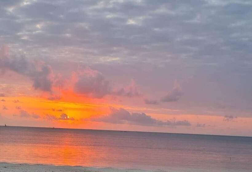 Отель Nautilus Boutique