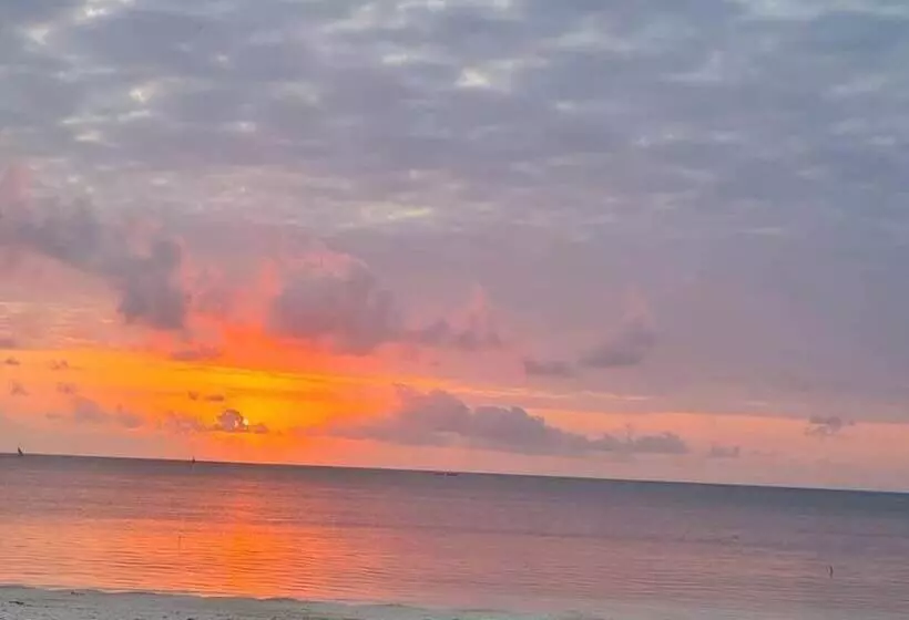 ホテル Nautilus Boutique