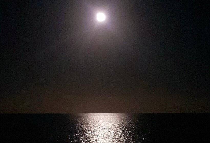 Отель Nautilus Boutique