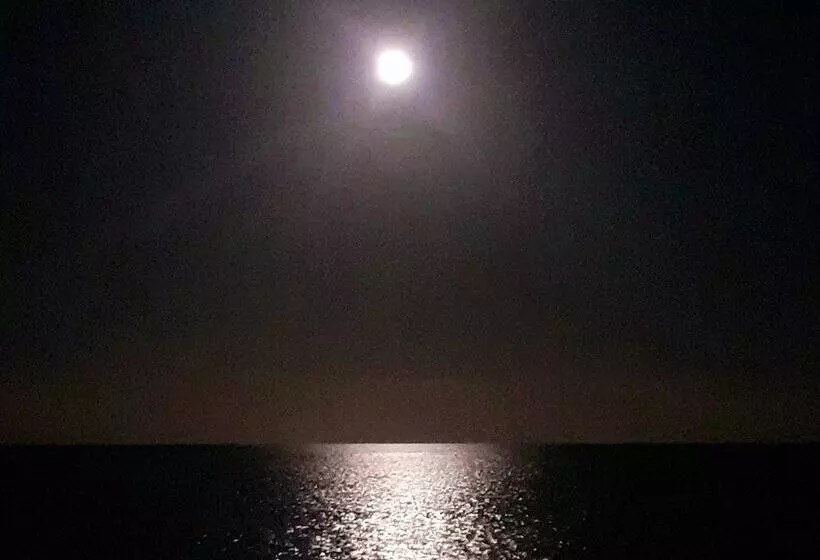 ホテル Nautilus Boutique